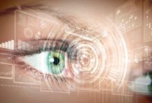 Students expect tougher digital identity protection