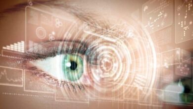 Students expect tougher digital identity protection