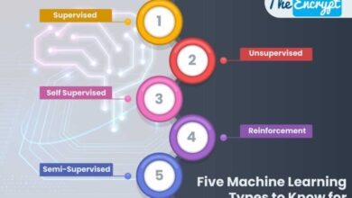 Five Machine Learning Types to Know